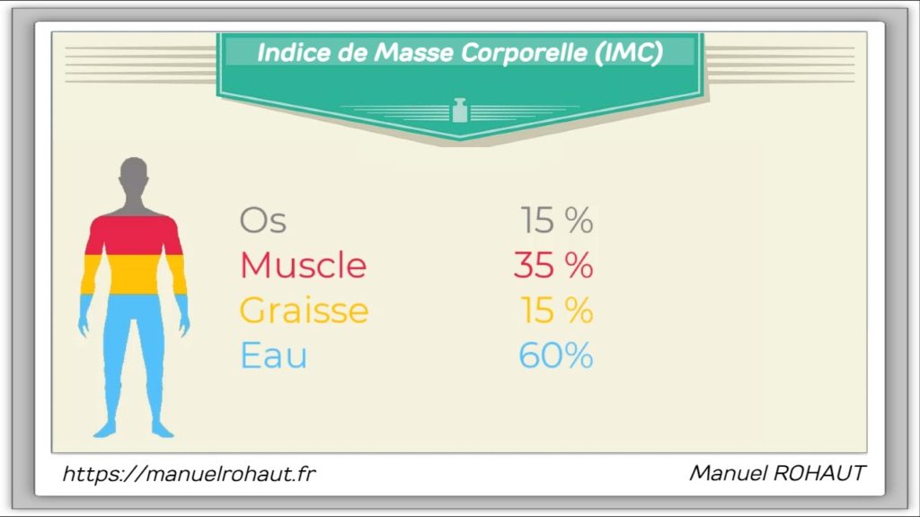 Bodycheck par Beautysané : répartition des masses dans l'organisme