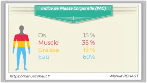 Bodycheck par Beautysané : répartition des masses dans l'organisme