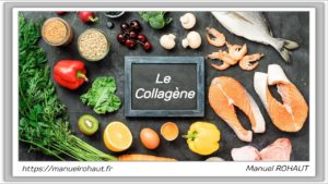 Sources alimentaires et naturelles de collagène - Connaitre les sources naturelles de collagène dans notre alimentation pour faire face à la perte de collagène au fil des années